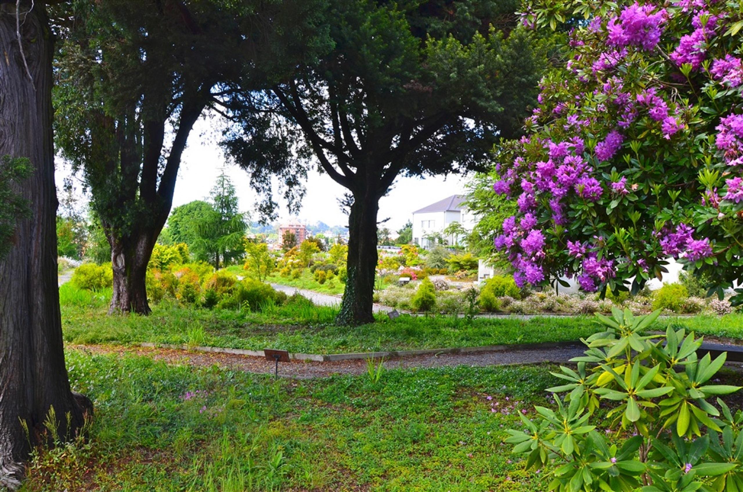 Enjoy Puerto Varas Dış mekan fotoğraf